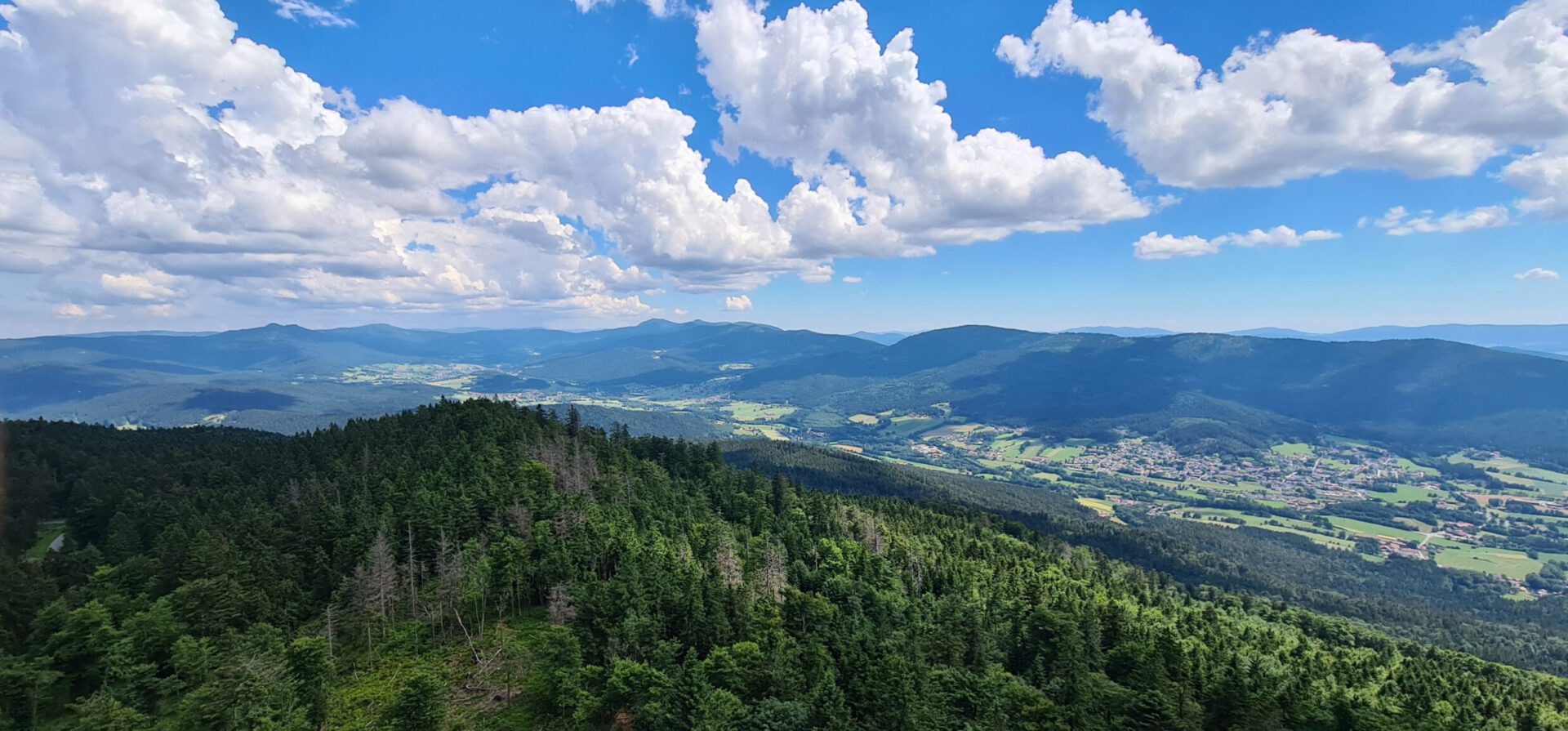 Bayerischer Wald